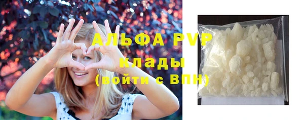 ГАЛЛЮЦИНОГЕННЫЕ ГРИБЫ Горно-Алтайск