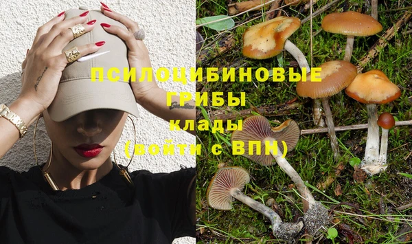 мет Горнозаводск