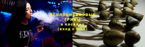 СК Горняк