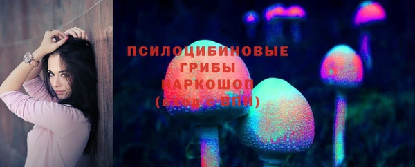 ГАЛЛЮЦИНОГЕННЫЕ ГРИБЫ Горно-Алтайск