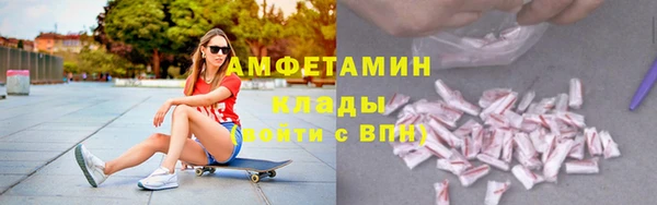 ГАЛЛЮЦИНОГЕННЫЕ ГРИБЫ Горно-Алтайск