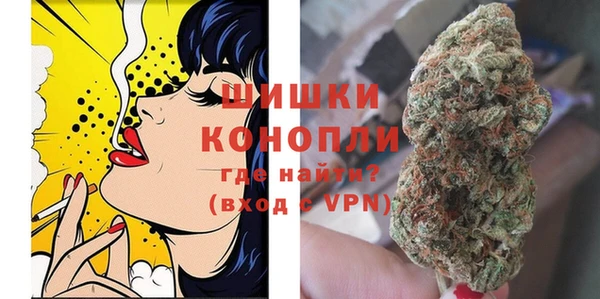 ГАЛЛЮЦИНОГЕННЫЕ ГРИБЫ Горно-Алтайск