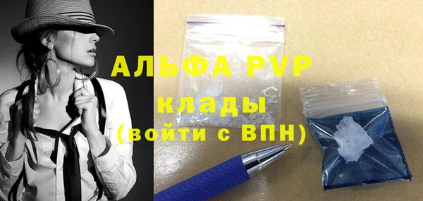 ГАЛЛЮЦИНОГЕННЫЕ ГРИБЫ Горно-Алтайск