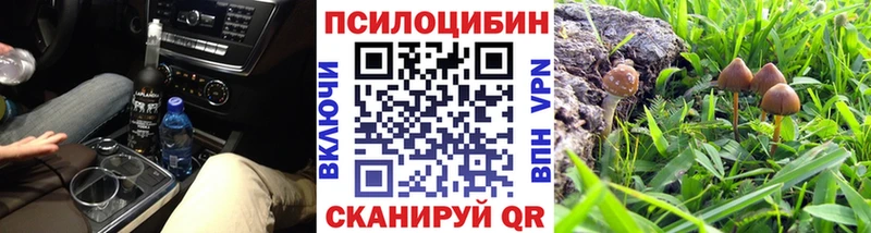 мориарти как зайти  Арзамас  Галлюциногенные грибы Psilocybe 